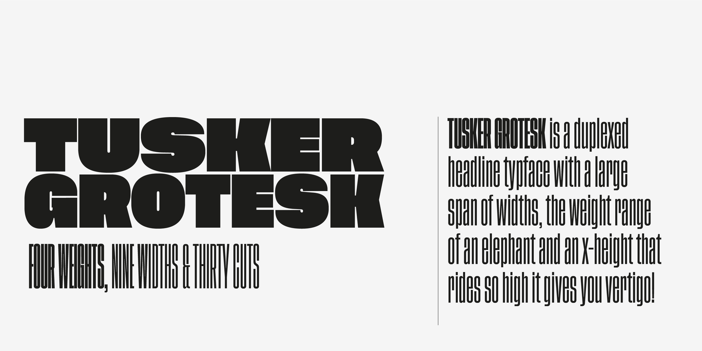 Пример шрифта Tusker Grotesk 2500 Medium